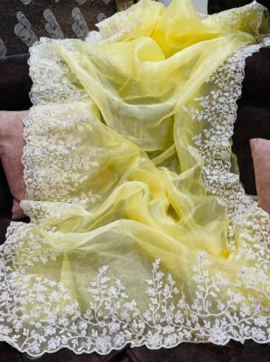 Soft Organza With Blouse (7)