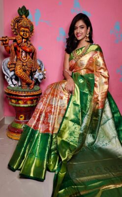 Pure Lite Weight Kanchi Sarees With Blouse (17)