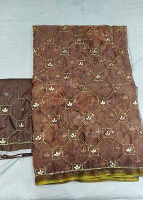 Soft Organza Sarees With Jaal Work (7)