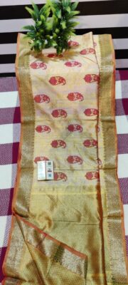 Banaras Handwoven Tussar Silk Sarees (16)