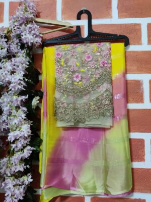 Exclusive Chinnon Shaded Sarees (22)