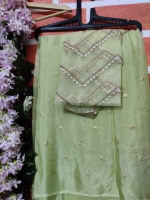 Exclusive Chinnon Shaded Sarees (27)