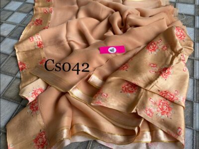 Pure Chiffon Sarees With Crepe Blouse (12)