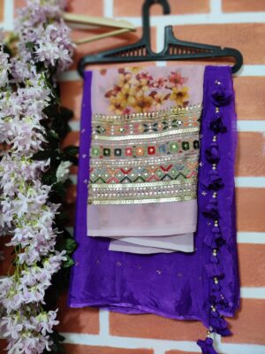 Pure Chinnon Sarees Collection With Prices (16)