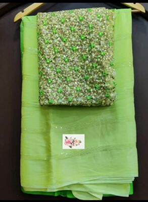 Exclusive Collection Of Chinnon Sarees (10)