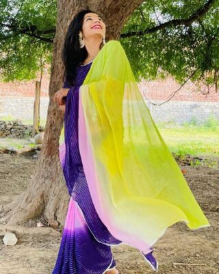 Beautiful Georgette Shaded Dye Sarees (6)