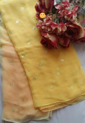 Pure Chiffon Sarees With Blouse (3)