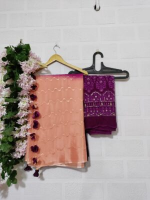 Exclusive Collection Chinnon Sarees (37)