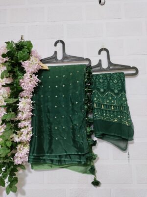 Exclusive Collection Chinnon Sarees (4)