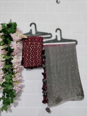 Exclusive Collection Chinnon Sarees (45)