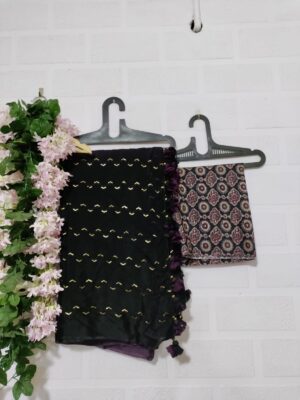 Exclusive Collection Chinnon Sarees (5)