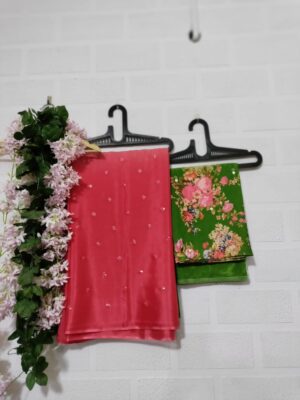 Exclusive Collection Chinnon Sarees (51)