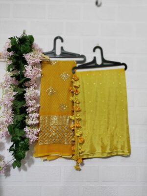 Exclusive Collection Chinnon Sarees (80)
