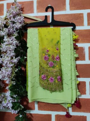 Exclusive Chinnon Sequence Sarees (6)
