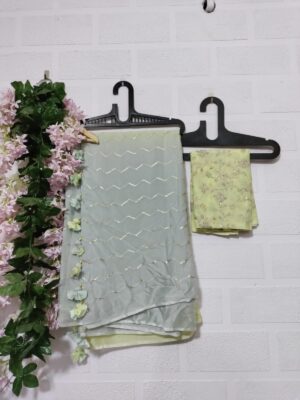 Exclusive Pure Chinnon Sarees With Blouse (50)