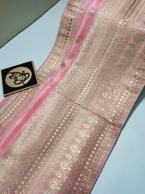 Latest Munga Silk Fabric With Border (8)