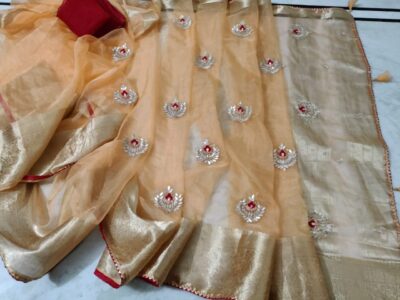 Latest Organza Sarees With Contrast Blouse (2)