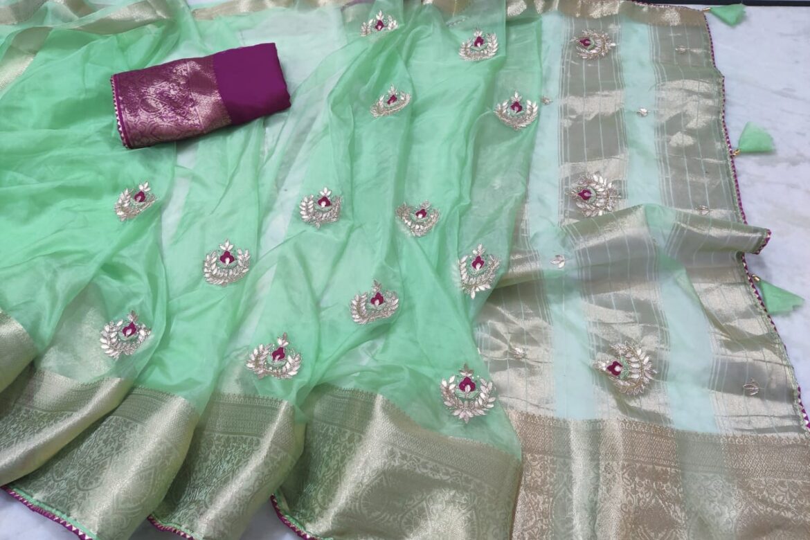 Latest Organza Sarees With Contrast Blouse (4)
