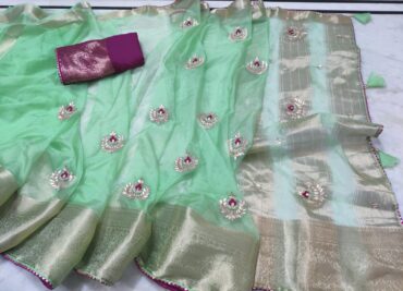 Latest Organza Sarees With Contrast Blouse (4)