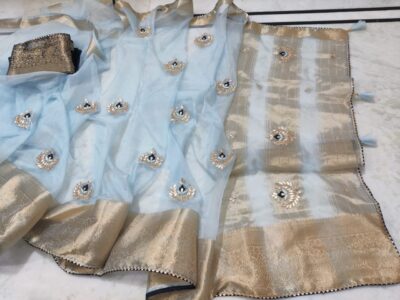 Latest Organza Sarees With Contrast Blouse (5)