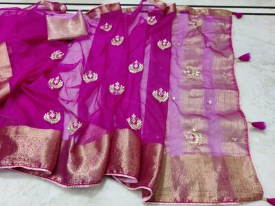 Latest Organza Sarees With Contrast Blouse (6)