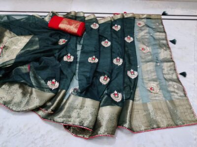 Latest Organza Sarees With Contrast Blouse (7)