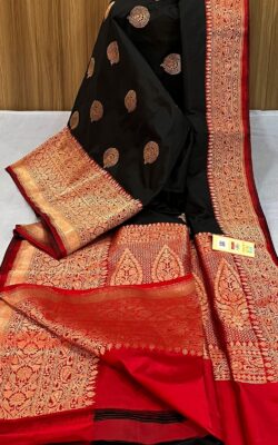 Pure Banarasi Handloom Katan Silk Sarees (8)