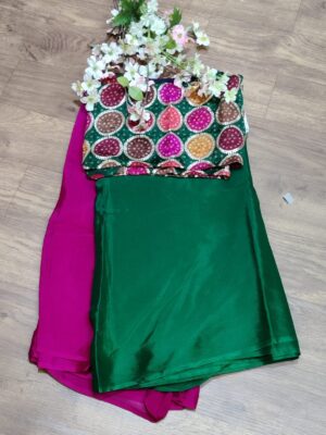 Pure Chinnon Sarees With Designr Blouse Online (2)