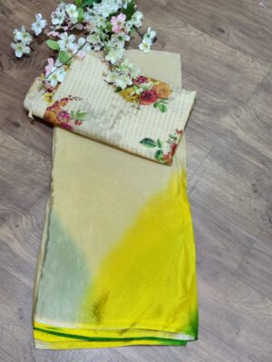 Pure Chinnon Sarees With Designr Blouse Online (8)
