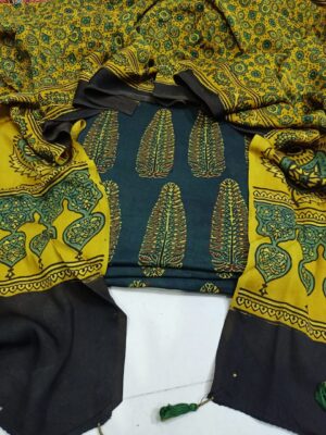 Pure Modal Silk Dress Materials Online (5)