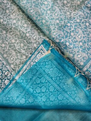 Pure Organza Emboidary Sarees With Price (5)