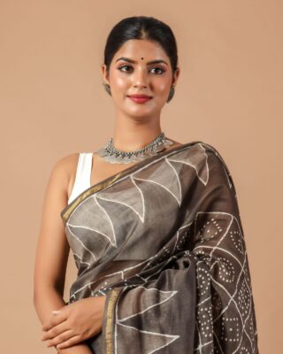 Chanderi Sarees Collection With Blouse (25)