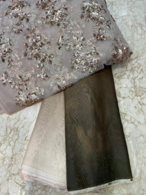 Imported Soft Organza With Work Blouse (1)