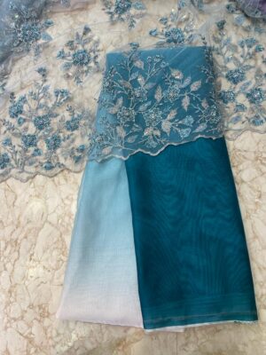 Imported Soft Organza With Work Blouse (8)