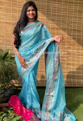 Latest Design Banaras Semi Warm Silk Sarees (12)