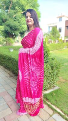 New Tissue Pallu Modal Silk Sarees (10)