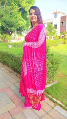 New Tissue Pallu Modal Silk Sarees (11)