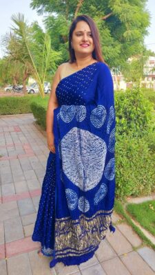 New Tissue Pallu Modal Silk Sarees (13)