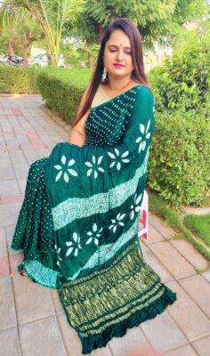 New Tissue Pallu Modal Silk Sarees (3)