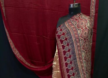 Modal Silk Saree With Tissue Pallu (6)