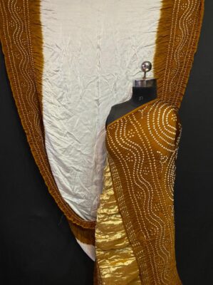 Pure Modal Silk With Goda Border Sarees (3)