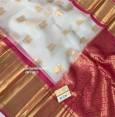Pure Organza Sarees With Kanchi Border With Blouse (24)