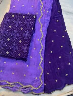 Pure Chinnon Sarees With Handwork With Blouse (1)