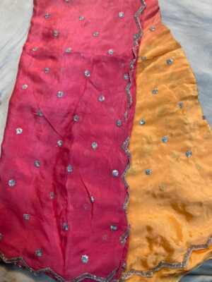 Pure Chinnon Sarees With Handwork With Blouse (3)