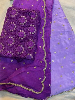 Pure Chinnon Sarees With Handwork With Blouse (5)