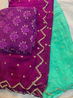 Pure Chinnon Sarees With Handwork With Blouse (8)