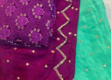 Pure Chinnon Sarees With Handwork With Blouse (8)