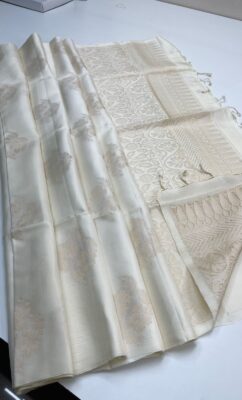 Pure Handloom Borderless Soft Silk Sarees (6)