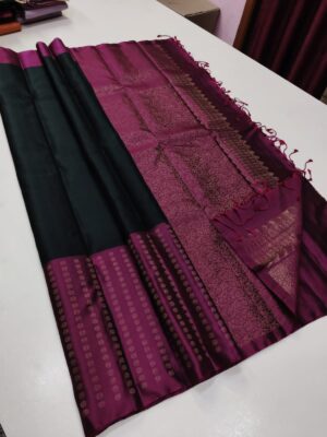 Trendy Collection In Kanchipuram Silk Sarees (4)