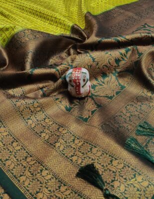Beautiful Soft Silk Sarees (11)